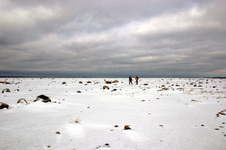 Enlarge photo 33