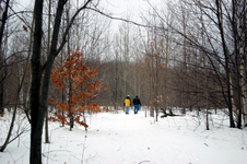 Enlarge photo 40