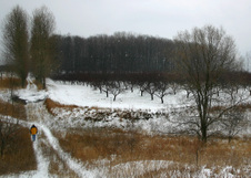 Enlarge photo 43