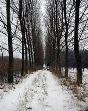 Enlarge photo 44