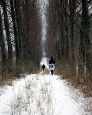 Enlarge photo 45