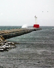 Enlarge photo 48