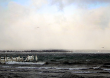 Enlarge photo 61