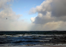 Enlarge photo 63