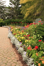 Enlarge photo 19