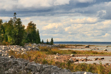 Enlarge photo 35