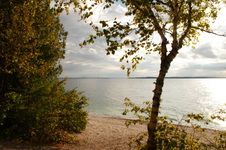 Enlarge photo 38