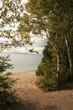 Enlarge photo 40