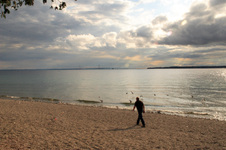 Enlarge photo 41
