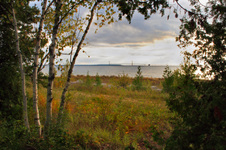 Enlarge photo 42