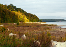 Enlarge photo 43