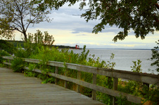 Enlarge photo 45
