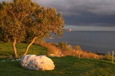 Enlarge photo 62