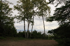 Enlarge photo 82