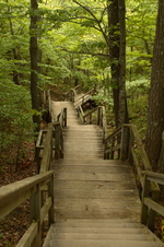 Enlarge photo 97