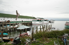 Enlarge photo 109