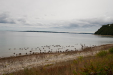 Enlarge photo 117