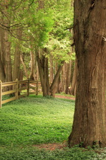 Enlarge photo 137