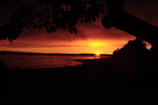 Enlarge photo 142