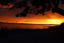 Enlarge photo 143