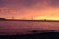 Enlarge photo 145