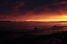 Enlarge photo 146
