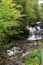 Enlarge photo 156