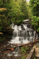 Enlarge photo 157