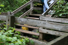 Enlarge photo 159