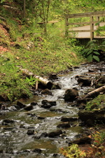 Enlarge photo 161