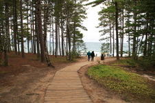 Enlarge photo 195
