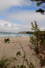 Enlarge photo 197