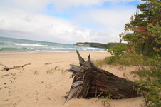 Enlarge photo 199