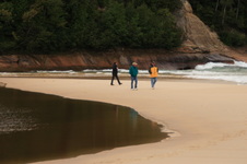 Enlarge photo 209