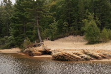 Enlarge photo 213