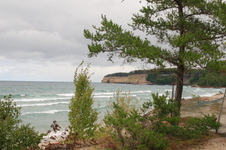 Enlarge photo 222