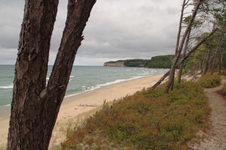 Enlarge photo 226