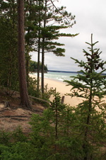 Enlarge photo 228