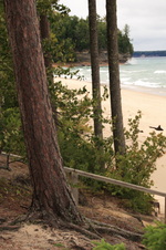 Enlarge photo 229