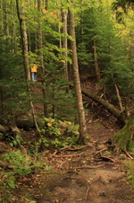 Enlarge photo 232
