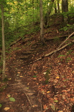 Enlarge photo 233