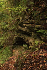 Enlarge photo 234
