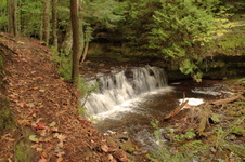 Enlarge photo 235