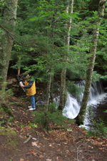 Enlarge photo 236