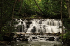 Enlarge photo 238