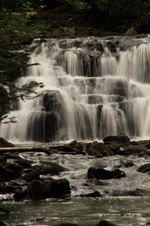 Enlarge photo 240