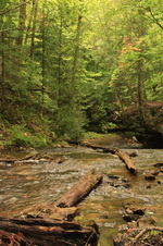 Enlarge photo 241