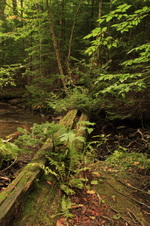 Enlarge photo 242