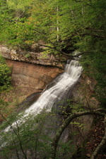 Enlarge photo 245