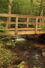 Enlarge photo 247